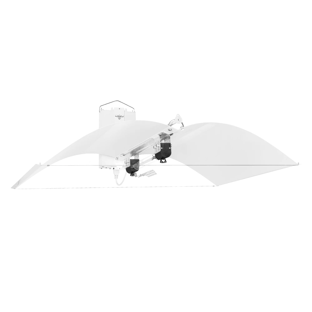 1000w DE-HPS Hellion Lighting System 1 1000w DE-HPS Hellion Lighting System