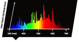 Lumatek Aurora 315W CMH (All-In-One) Grow Light 2 Lumatek Aurora 315W CMH (All-In-One) Grow Light - Image 2