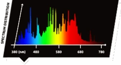 Lumatek 315W CMH Lamps 5 Lumatek 315W CMH Lamps -Garden Care Hub cmh cdm light kit lumatek aurora 315w cmh all in one grow light 1175730547