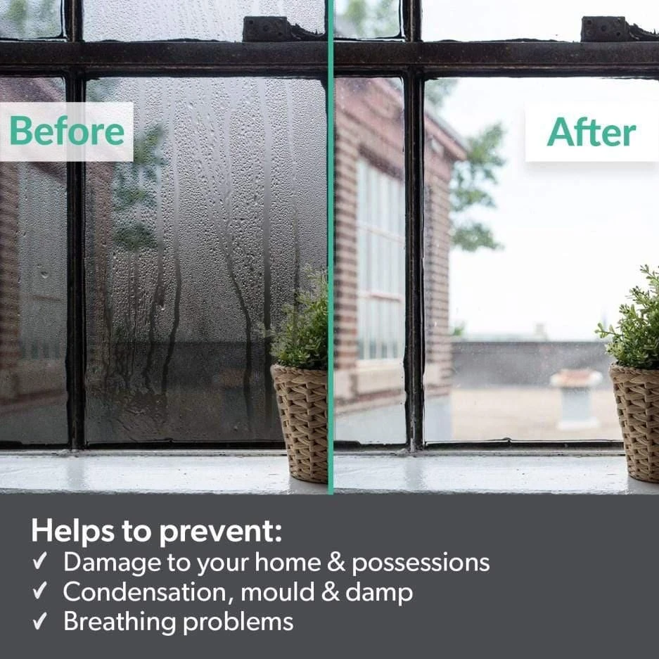 ElectriQ 10 Litre Dehumidifier With Humidistat 4 ElectriQ 10 Litre Dehumidifier With Humidistat - Image 4