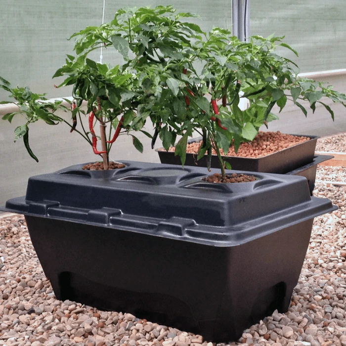 Oxypot XL Complete Kit (2 Plants) - 70L (58.5 X 83 X 38cm) 2 Oxypot XL Complete Kit (2 Plants) - 70L (58.5 X 83 X 38cm) - Image 2