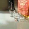Athena Hydro Bros 2oz Shot Glass