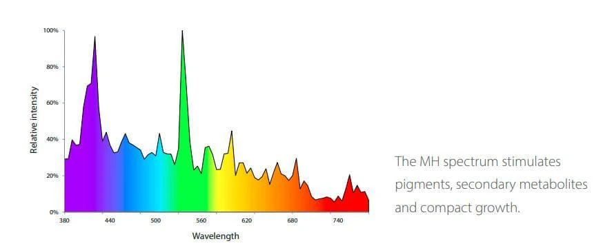 BLV Horturion 1000W 400V DE - Metal Halide 2 BLV Horturion 1000W 400V DE - Metal Halide - Image 2