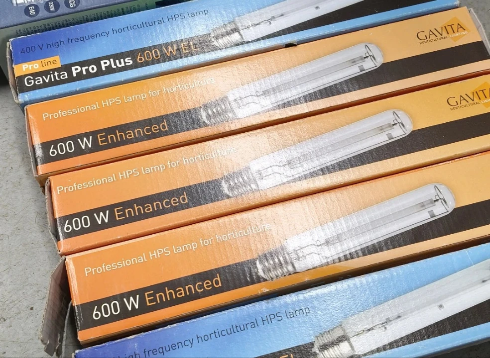 Gavita - Enhanced HPS Bulb 600W 230V 2 Gavita - Enhanced HPS Bulb 600W 230V - Image 2