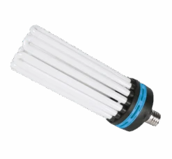 CFL Lamp