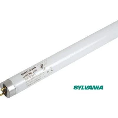 Maxibright Replacement T5 Fluorescent Lamps 1 Maxibright Replacement T5 Fluorescent Lamps