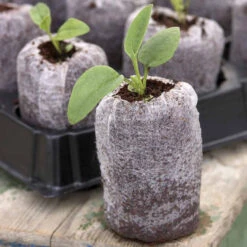 Jiffy Peat Pellets