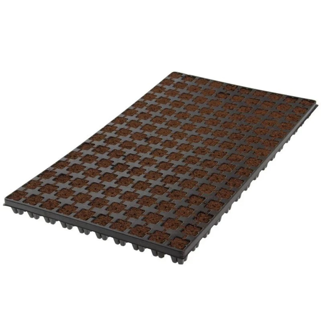 Eazy Plug Organic Propagation Cubes 3 Eazy Plug Organic Propagation Cubes - Image 3