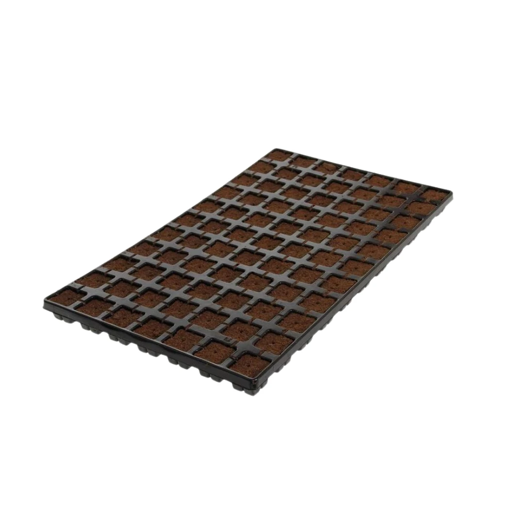 Eazy Plug Organic Propagation Cubes 4 Eazy Plug Organic Propagation Cubes - Image 4