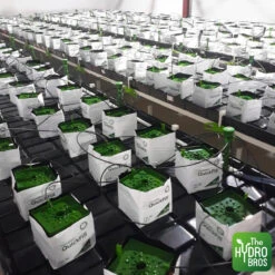 FloraFlex Quick Fill Bag - 2 Gallon | White Plastic | 60% WHC 9 FloraFlex Quick Fill Bag - 2 Gallon | White Plastic | 60% WHC -Garden Care Hub grow media flora flex quick fill bag 2 gallon 7 57l 36943609757911