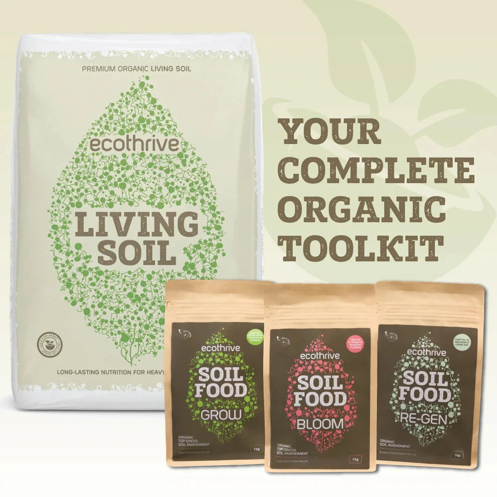 Ecothrive Living Soil 40L - Premium Organic Soil 3 Ecothrive Living Soil 40L - Premium Organic Soil - Image 3