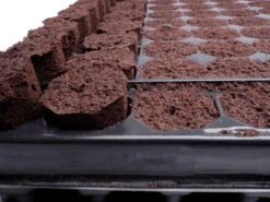 Plug Life 80/20 (Peat Mix) 104 -Garden Care Hub grow media plug life peat mix 104 38398157816023