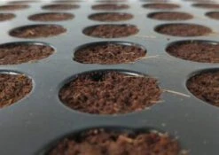 Plug Life 80/20 (Peat Mix) 104 -Garden Care Hub grow media plug life peat mix 104 38398158405847