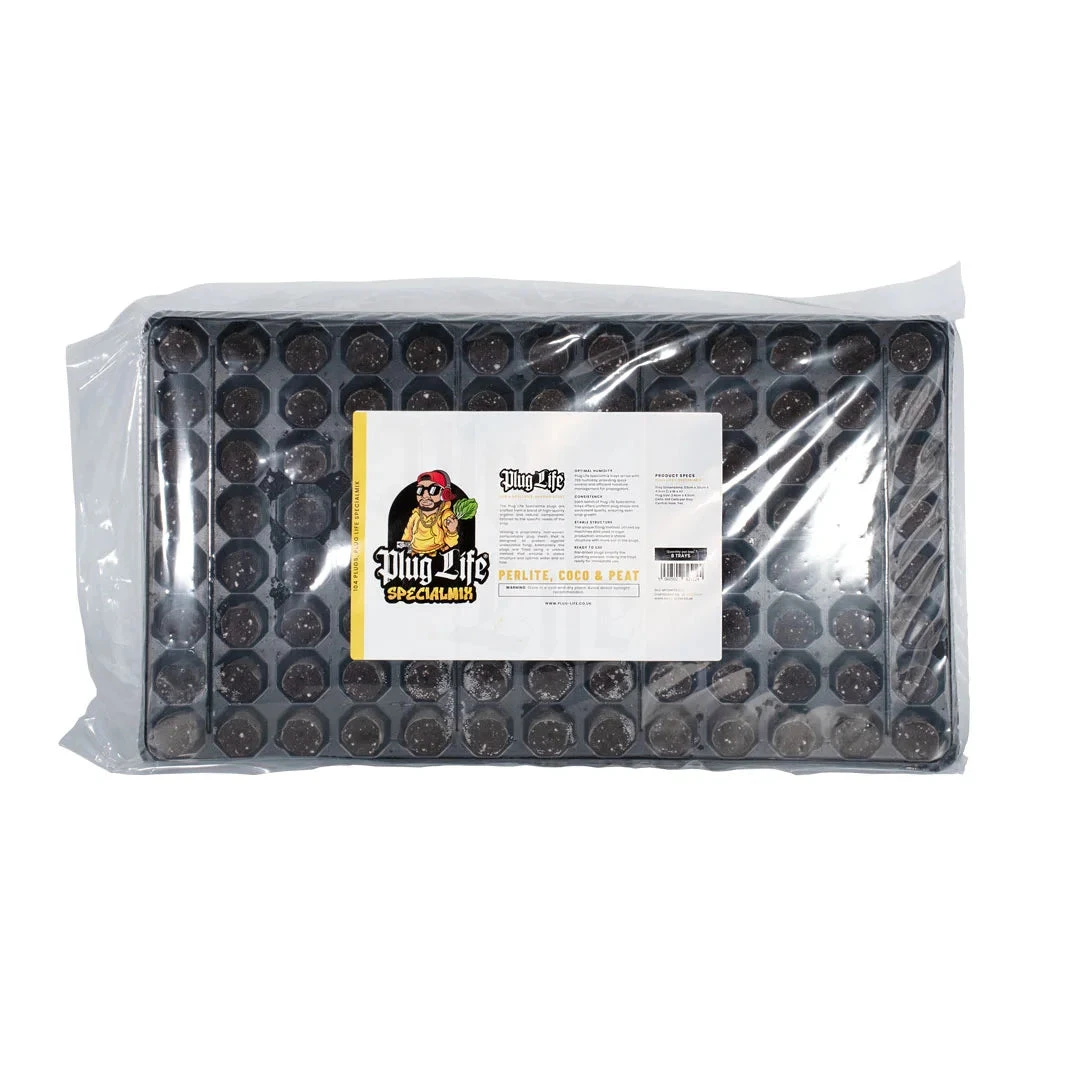 Plug Life Special Mix 104 1 Plug Life Special Mix 104