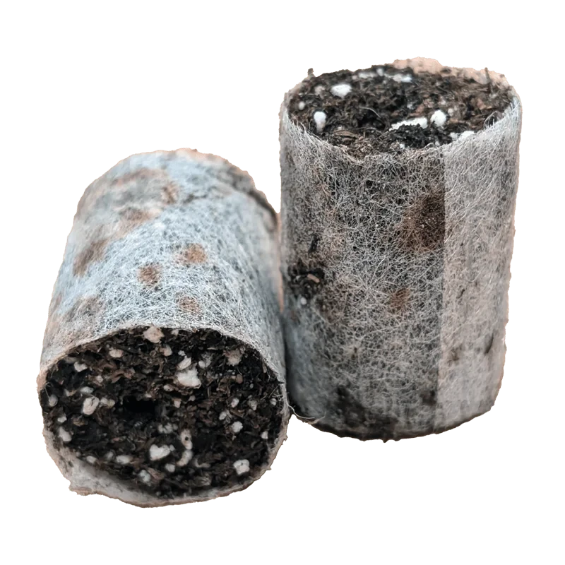 Plug Life Special Mix 104 2 Plug Life Special Mix 104 - Image 2