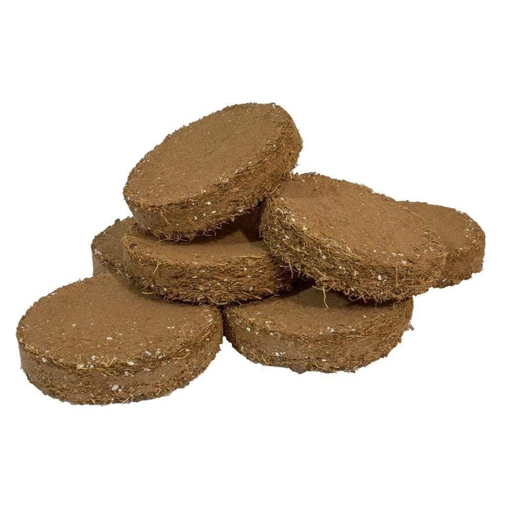 Root!T Potting Biscuit - Pack Of 20 1 Root!T Potting Biscuit - Pack Of 20
