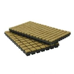 Tray Of Rockwool Propagation Cubes