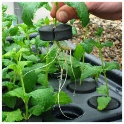 X-stream Aeroponic Propagator 11 X-stream Aeroponic Propagator -Garden Care Hub grow systems 12 site x stream aeroponic propagator 31577585320120