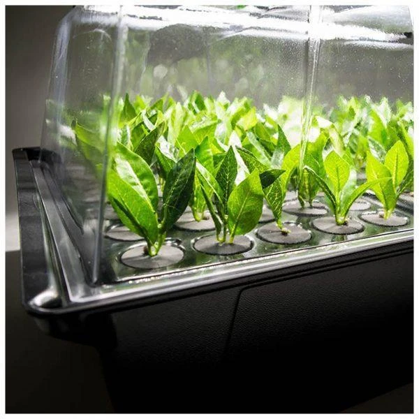 X-stream Aeroponic Propagator 2 X-stream Aeroponic Propagator - Image 2