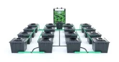 Alien RDWC 16 Pot 36L Black Series