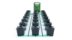 Alien RDWC 21 Pot 20L Black Series