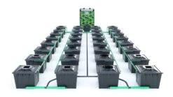 Alien RDWC 32 Pot 36L Black Series