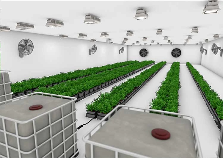 Easy2grow Kit - 100 Pot 4 Easy2grow Kit - 100 Pot - Image 4