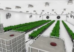 Easy2grow Kit - 40 Pot 7 Easy2grow Kit - 40 Pot -Garden Care Hub grow systems easy2grow kit 40 pot 1153624831