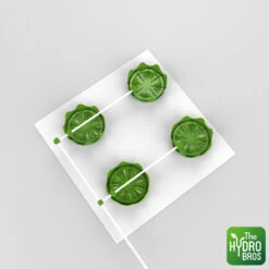 FloraFlex - 4 PotPro Platform System (Drainage) - 4 X 4ft Space 8 FloraFlex - 4 PotPro Platform System (Drainage) - 4 X 4ft Space -Garden Care Hub grow systems flora flex platform drainage system 4 plant 4 x 4ft space 37129340059863