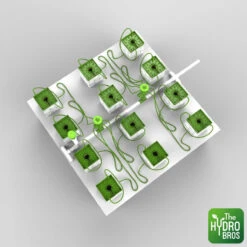 FloraFlex - 12 Plant Bubbler Irrigation System For 6" Rockwool - 4 X 4ft Space