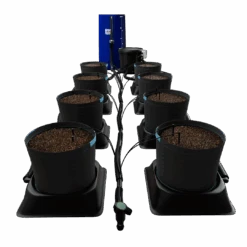 IWS Autodrain - Drip And Drain System (Large)