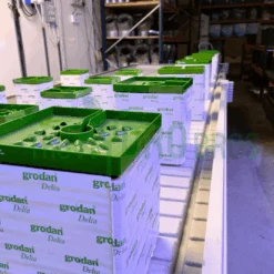 Wachsen 4ft Rolling Benches With Trays 20 Wachsen 4ft Rolling Benches With Trays -Garden Care Hub grow systems wachsen rolling benches with trays 37051398160599