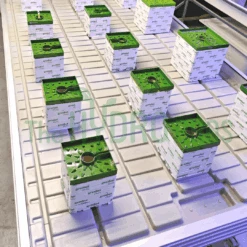 Wachsen 4ft Rolling Benches With Trays 19 Wachsen 4ft Rolling Benches With Trays -Garden Care Hub grow systems wachsen rolling benches with trays 37051398324439