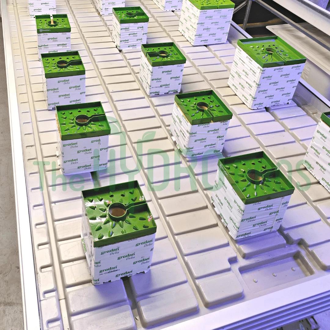 Wachsen 4ft Rolling Benches With Trays 6 Wachsen 4ft Rolling Benches With Trays - Image 6