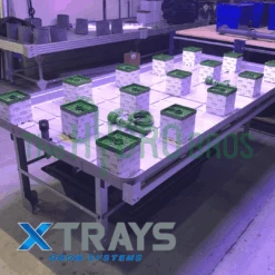 XTray Rolling Bench With Trays - 8ft X 4ft