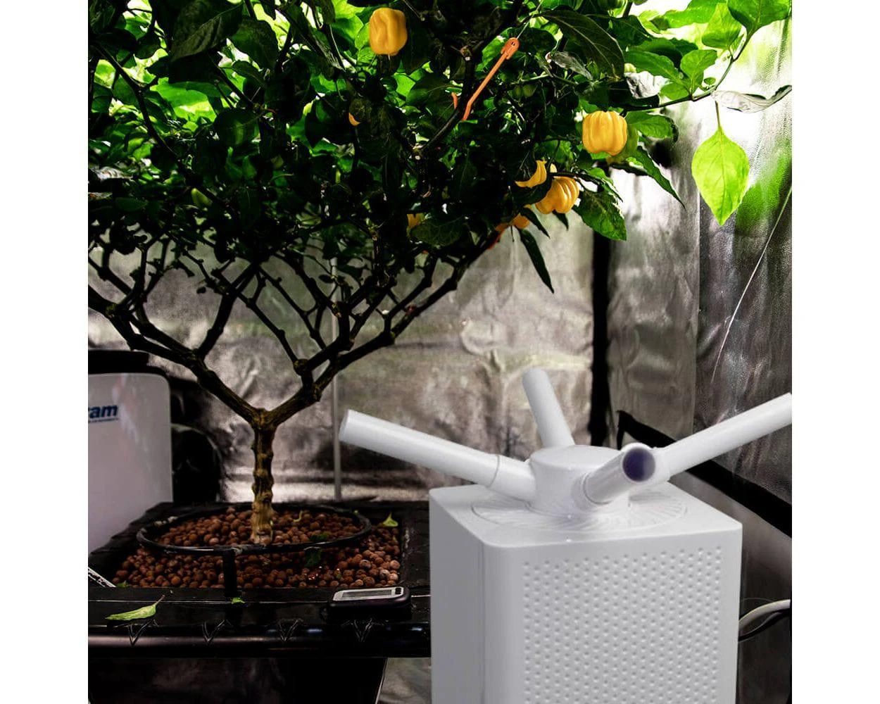 Sonic Air 10L Humidifier 2 Sonic Air 10L Humidifier - Image 2