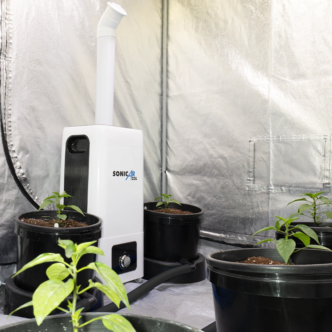 Sonic Air Humidifier 23L 2 Sonic Air Humidifier 23L - Image 2