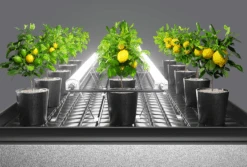 Aether Undercanopy Grow Lights 120w 19 Aether Undercanopy Grow Lights 120w -Garden Care Hub led grow light aether undercanopy lights 120w 71265397834101