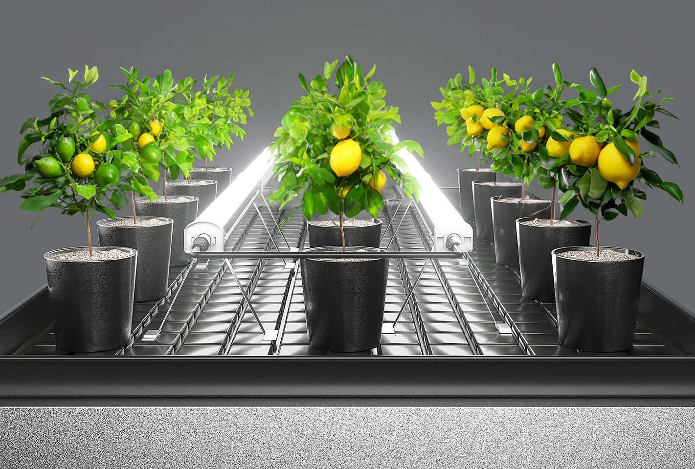 Aether Undercanopy Grow Lights 120w 10 Aether Undercanopy Grow Lights 120w - Image 10