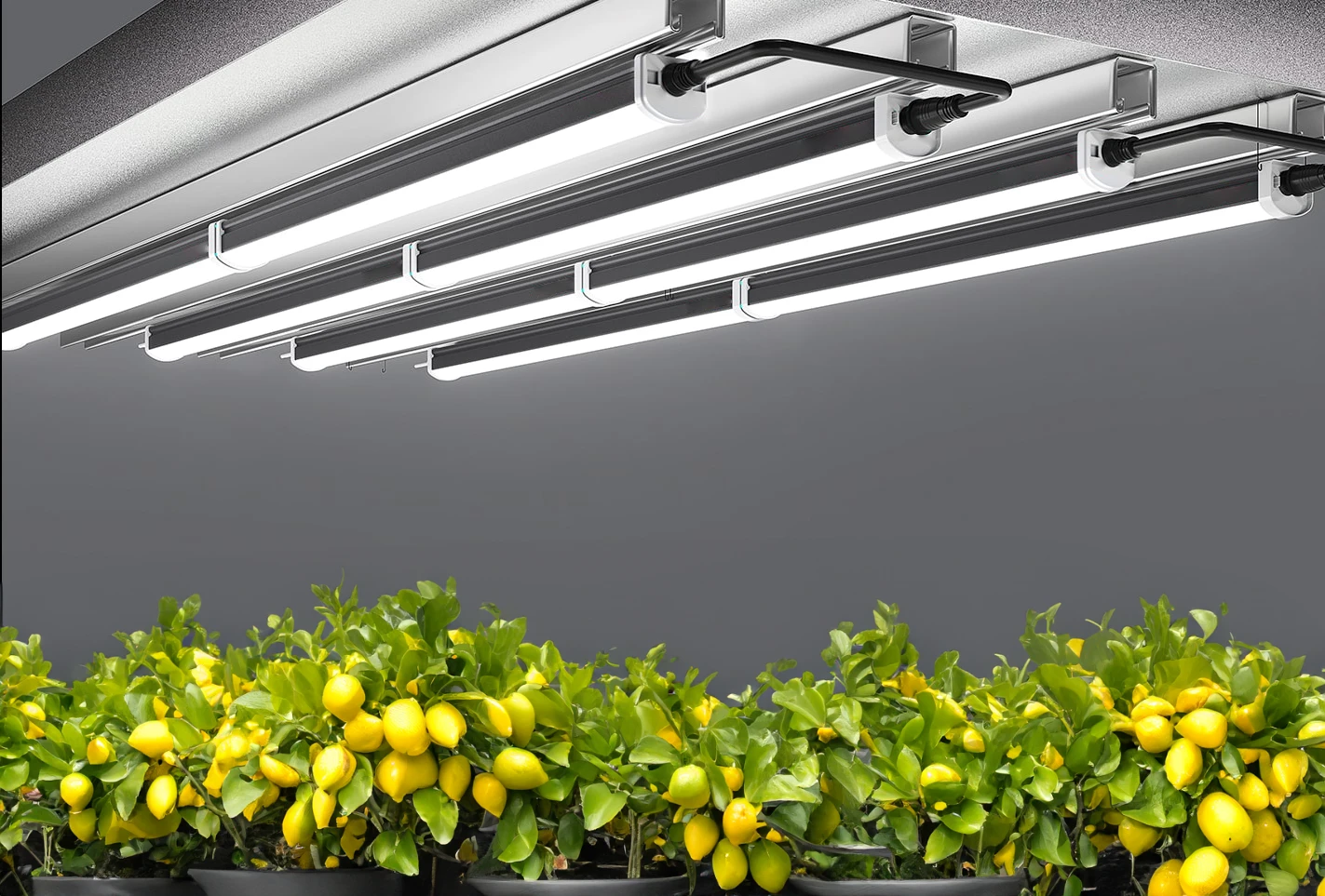 Aether Undercanopy Grow Lights 120w 8 Aether Undercanopy Grow Lights 120w - Image 8