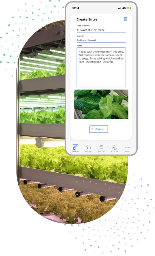 Bluelab One Pen With Replaceable PH, Conductivity (EC), And Temperature Probe 4 Bluelab One Pen With Replaceable PH, Conductivity (EC), And Temperature Probe - Image 4