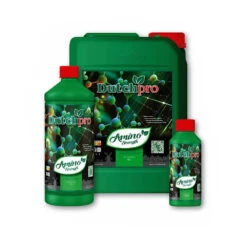 Dutch Pro - Amino Strength