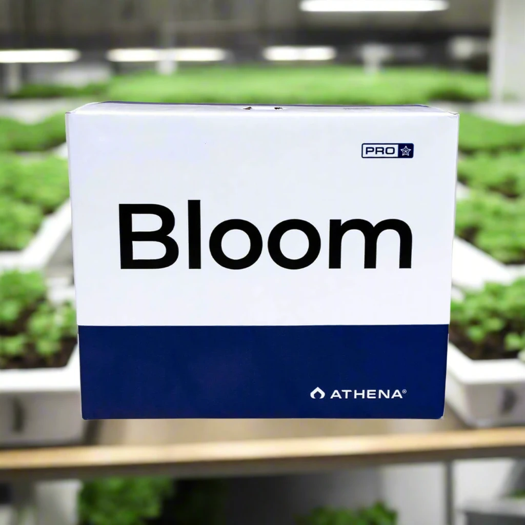 Athena Pro Line Bloom 7 Athena Pro Line Bloom - Image 7