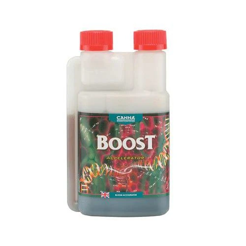Canna - Boost Accelerator 2 Canna - Boost Accelerator - Image 2