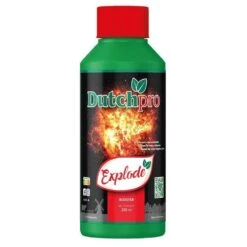 Dutch Pro Explode