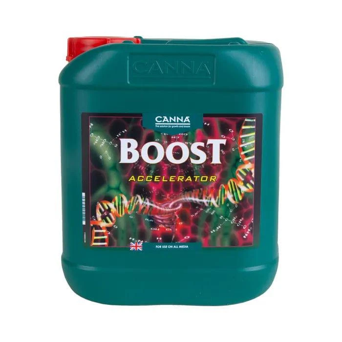 Canna - Boost Accelerator 4 Canna - Boost Accelerator - Image 4