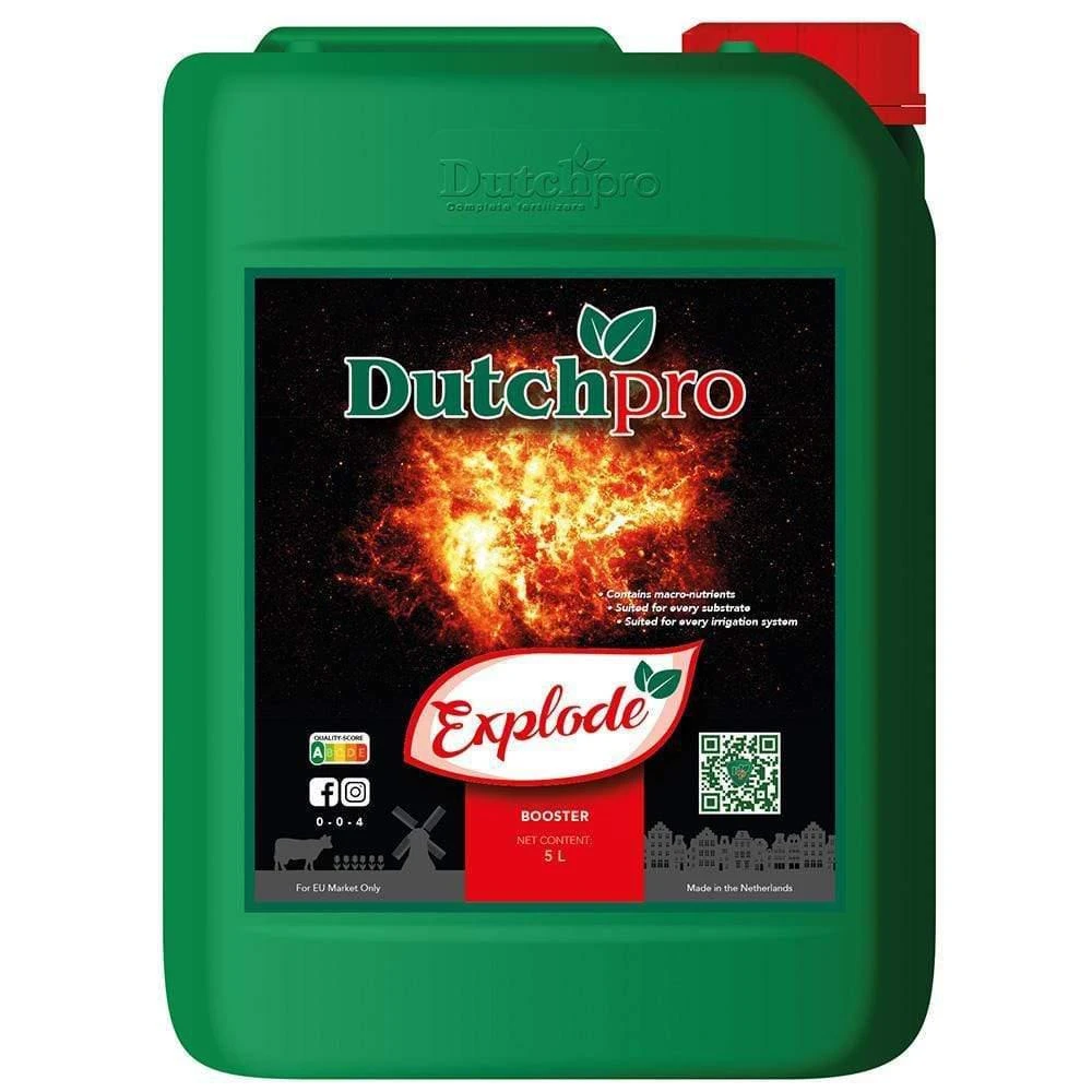 Dutch Pro Explode 3 Dutch Pro Explode - Image 3