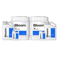 Athena Blended Bloom AB