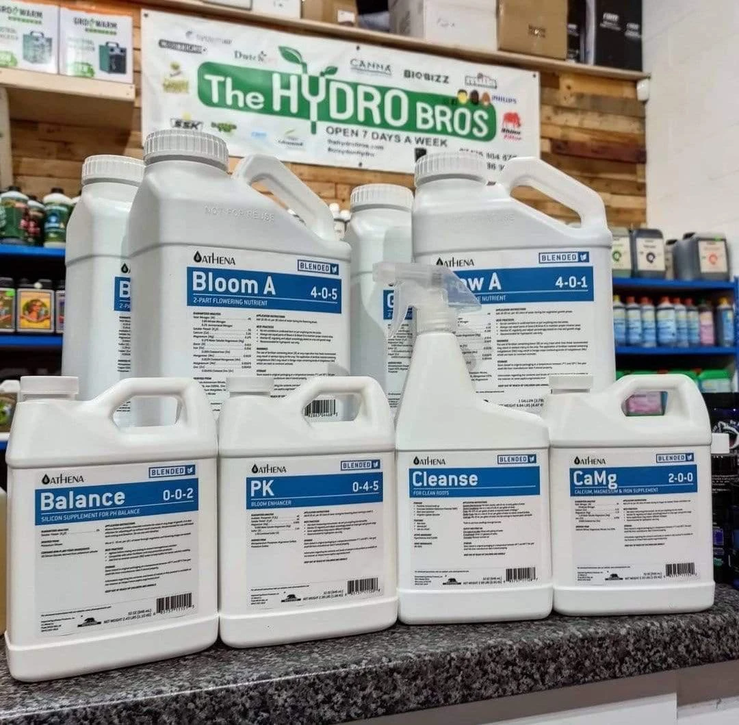 Athena Blended Starter Kit 2 Athena Blended Starter Kit - Image 2