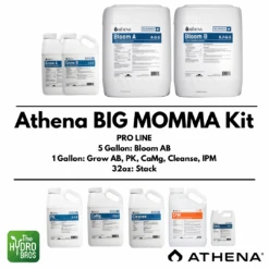 Athena Blended Line - The Full Tilt Big Momma Kit